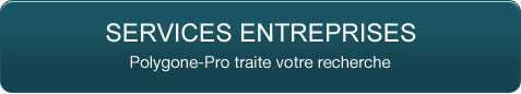 Services entreprises